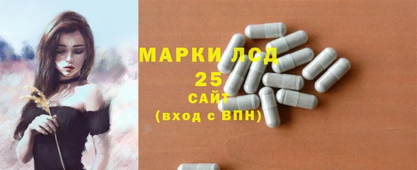 хмурый Алексин