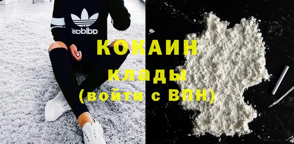 хмурый Алексин