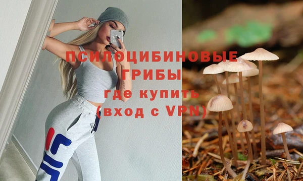хмурый Алексин