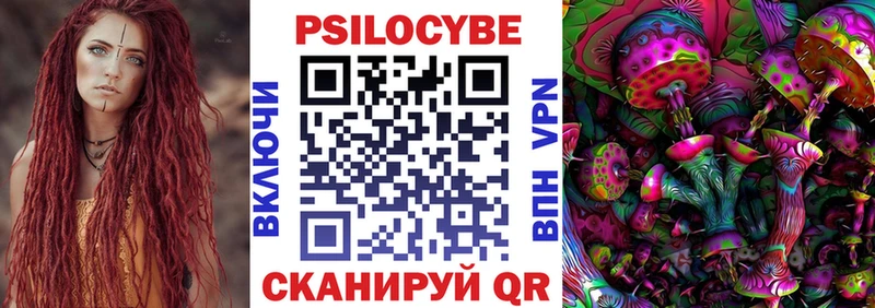 Купить закладки  Чебоксары  Галлюциногенные грибы прущие грибы 